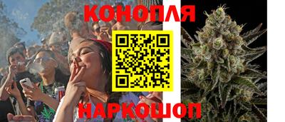 прущие грибы Гагарин