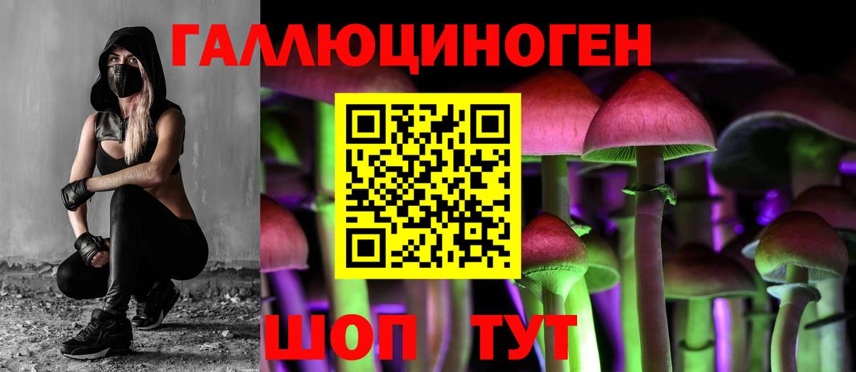 Муравленко  Псилоцибиновые грибы Psilocybe  Вход с VPN 